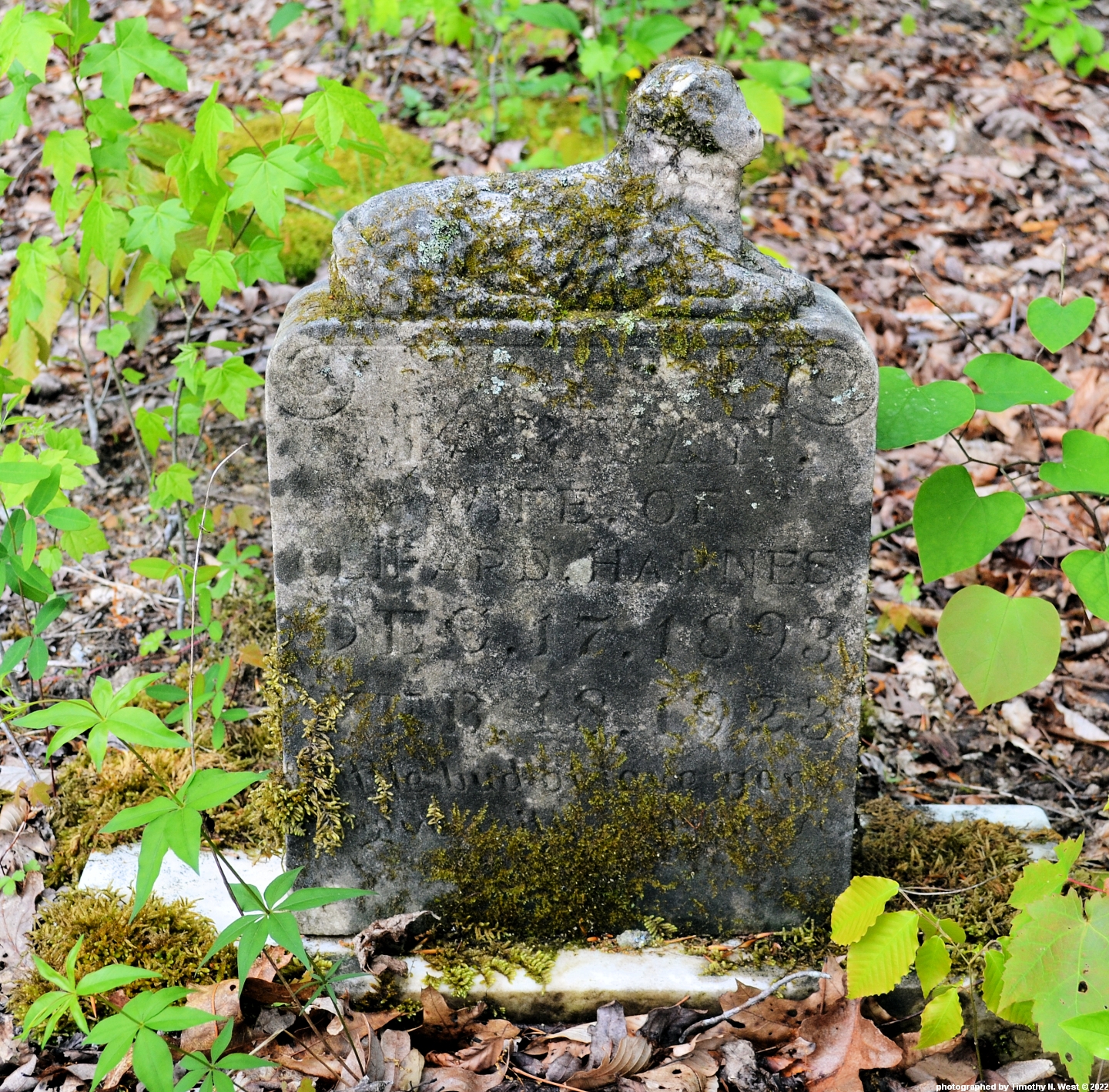Scott Co, TN Maryan Harness Cemetery at Bull Creek