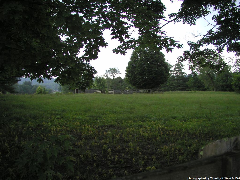 Scott Co, TN Cross Cemetery at Oneida