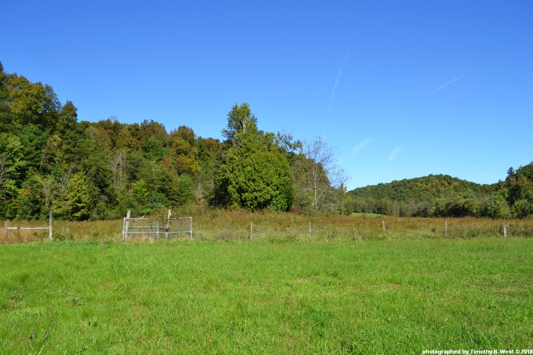 Scott Co, TN Pemberton Cemetery at Wolf Creek