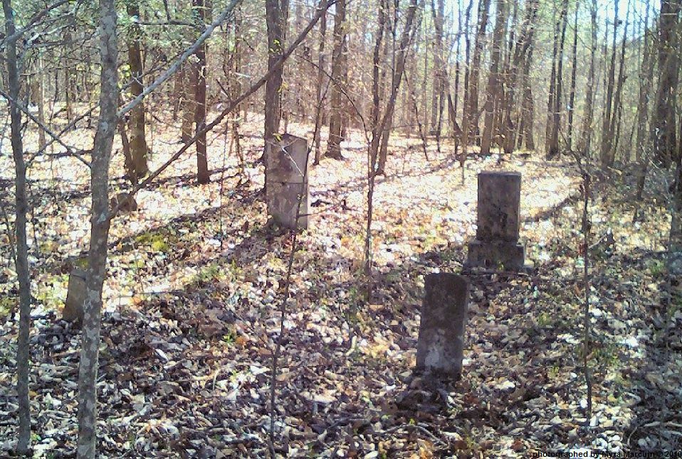 Scott Co, TN Reed Cemetery at Low Gap