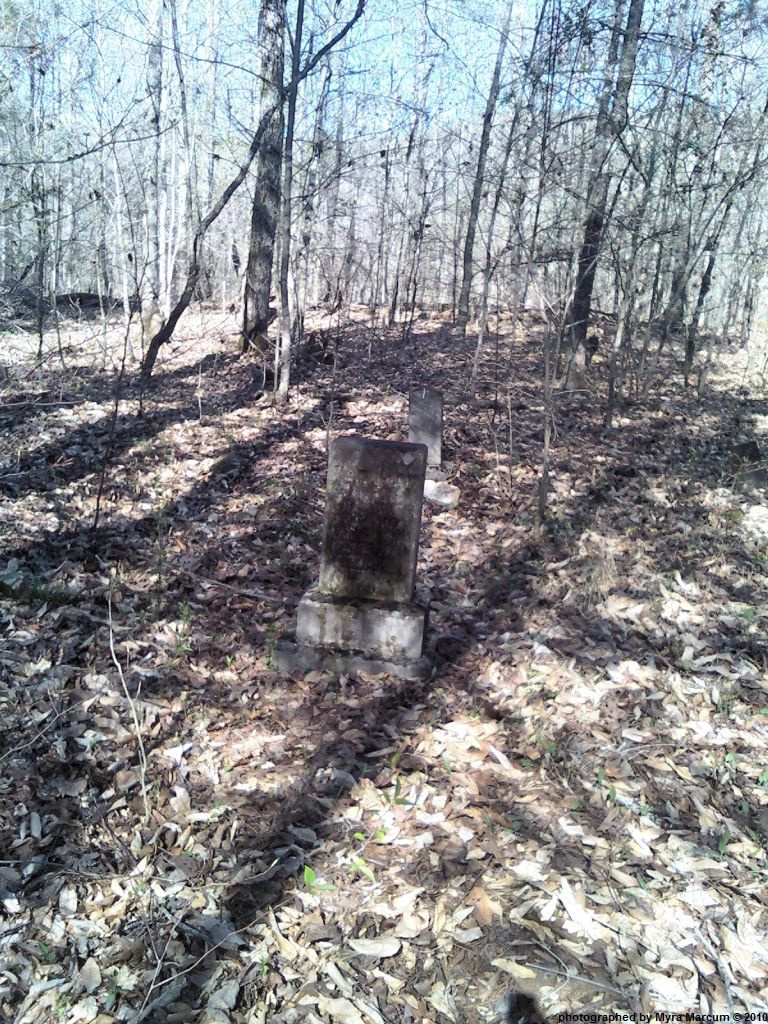 Scott Co, TN Reed Cemetery at Low Gap