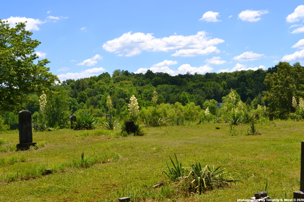Scott Co, TN Abner Thomas Cemetery at Oneida